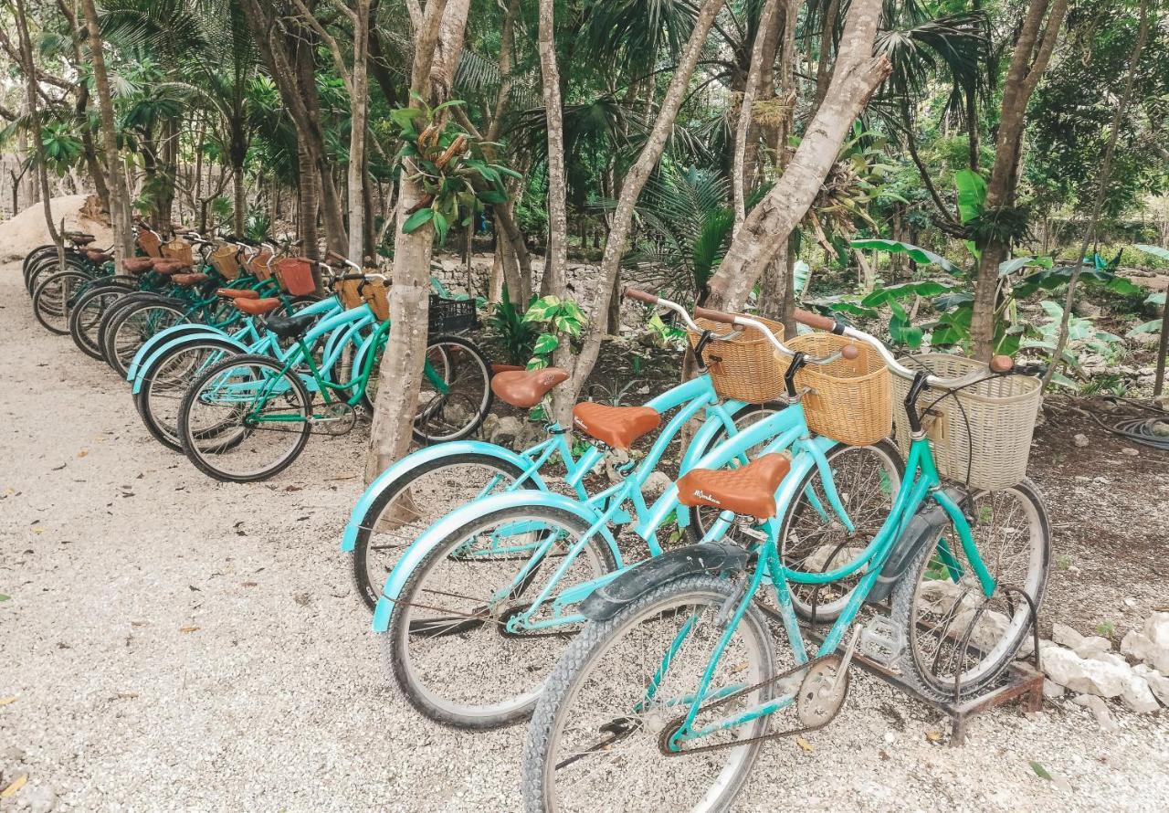 Akumal Natura Glamping المظهر الخارجي الصورة