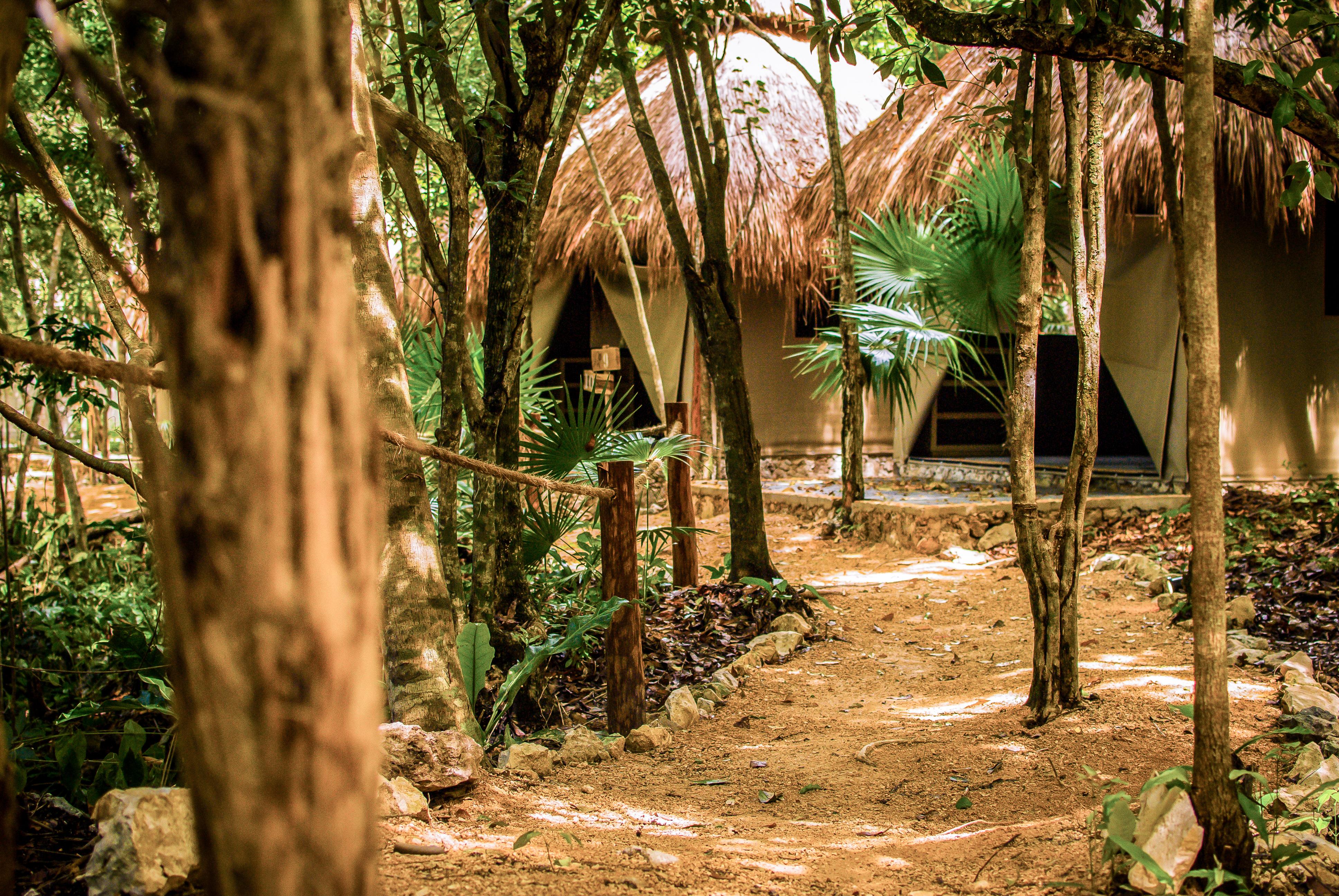 Akumal Natura Glamping المظهر الخارجي الصورة