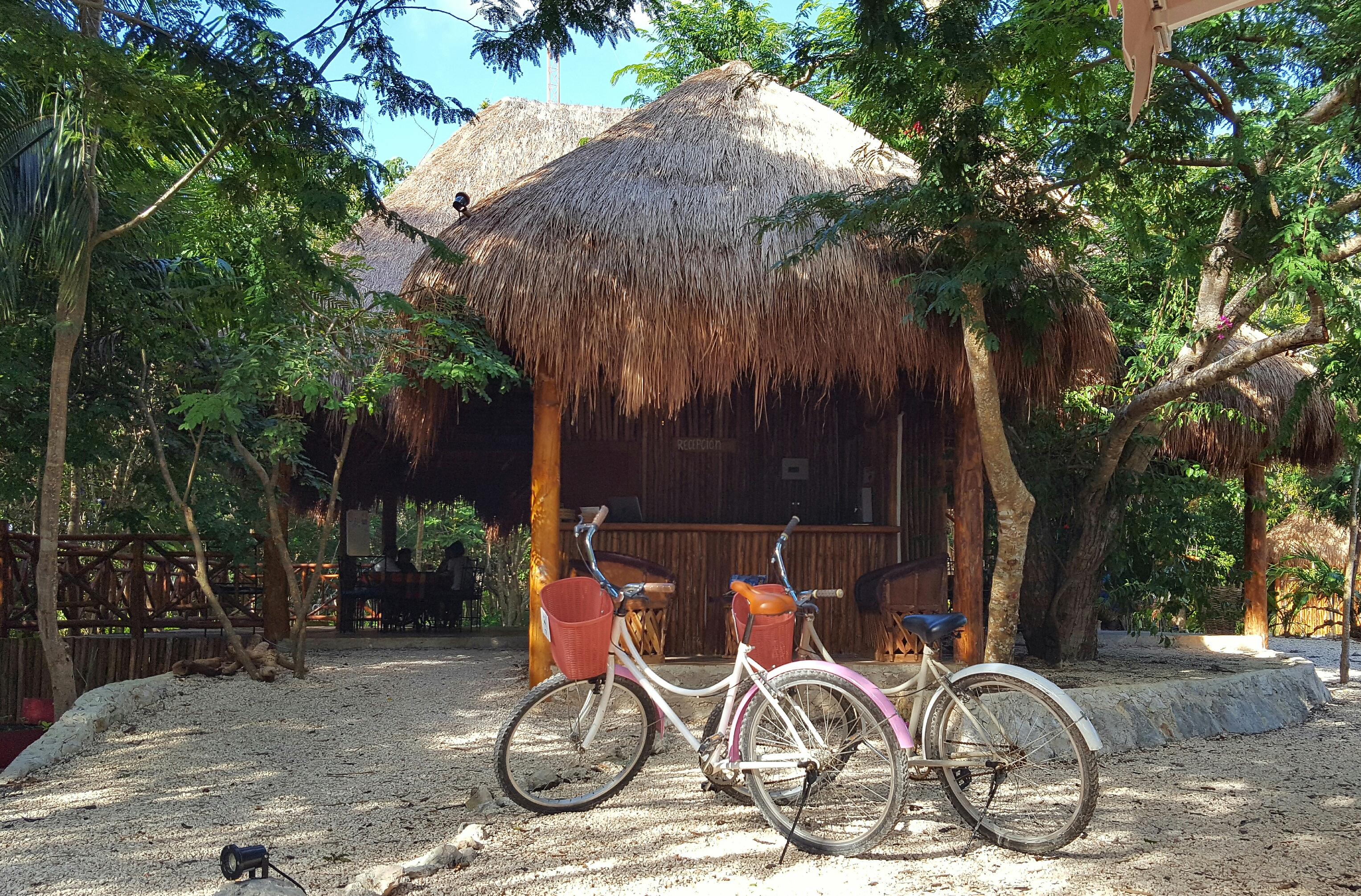 Akumal Natura Glamping المظهر الخارجي الصورة