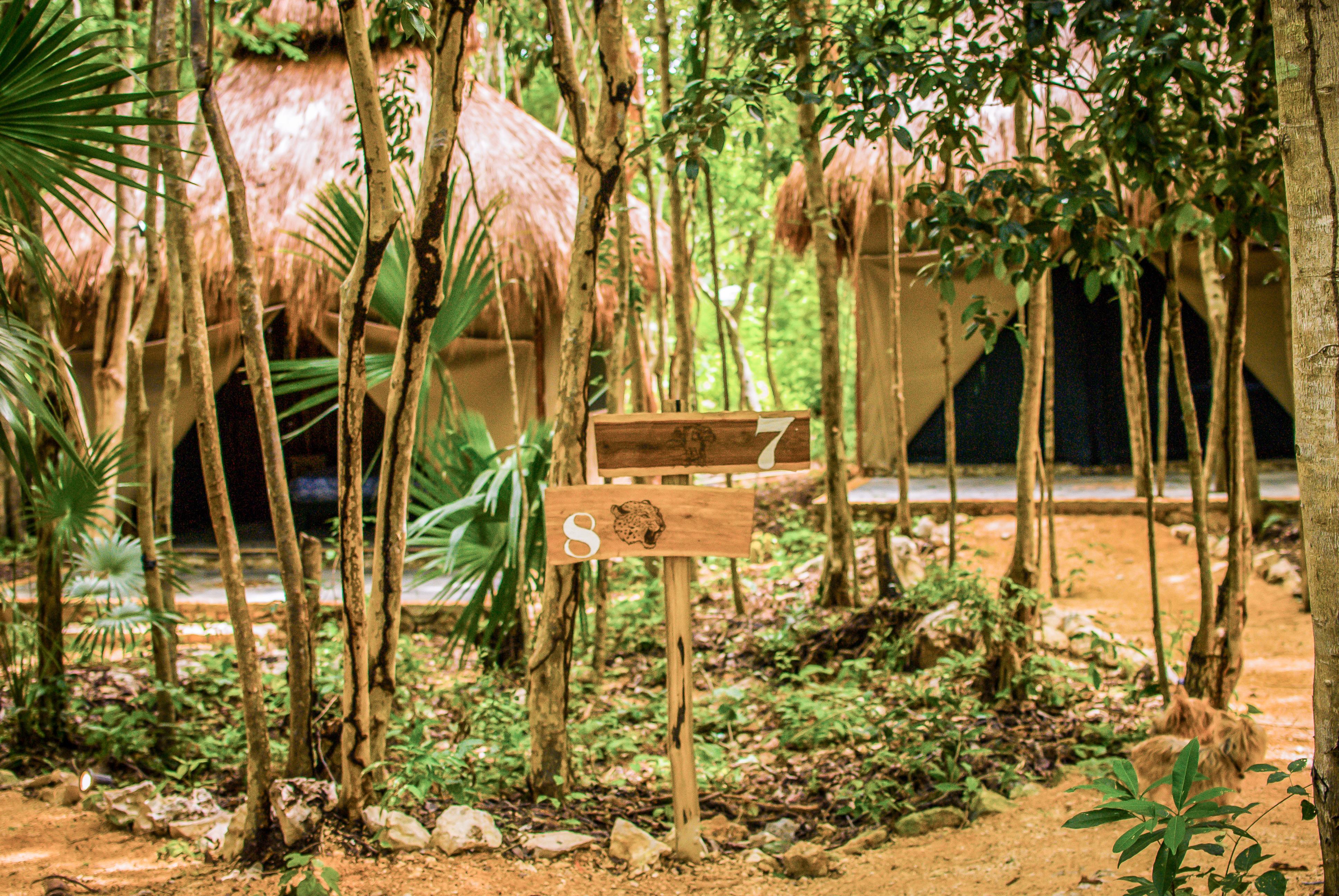 Akumal Natura Glamping المظهر الخارجي الصورة