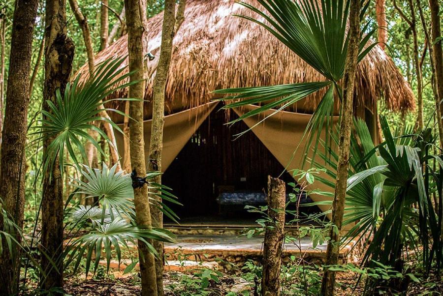 Akumal Natura Glamping المظهر الخارجي الصورة