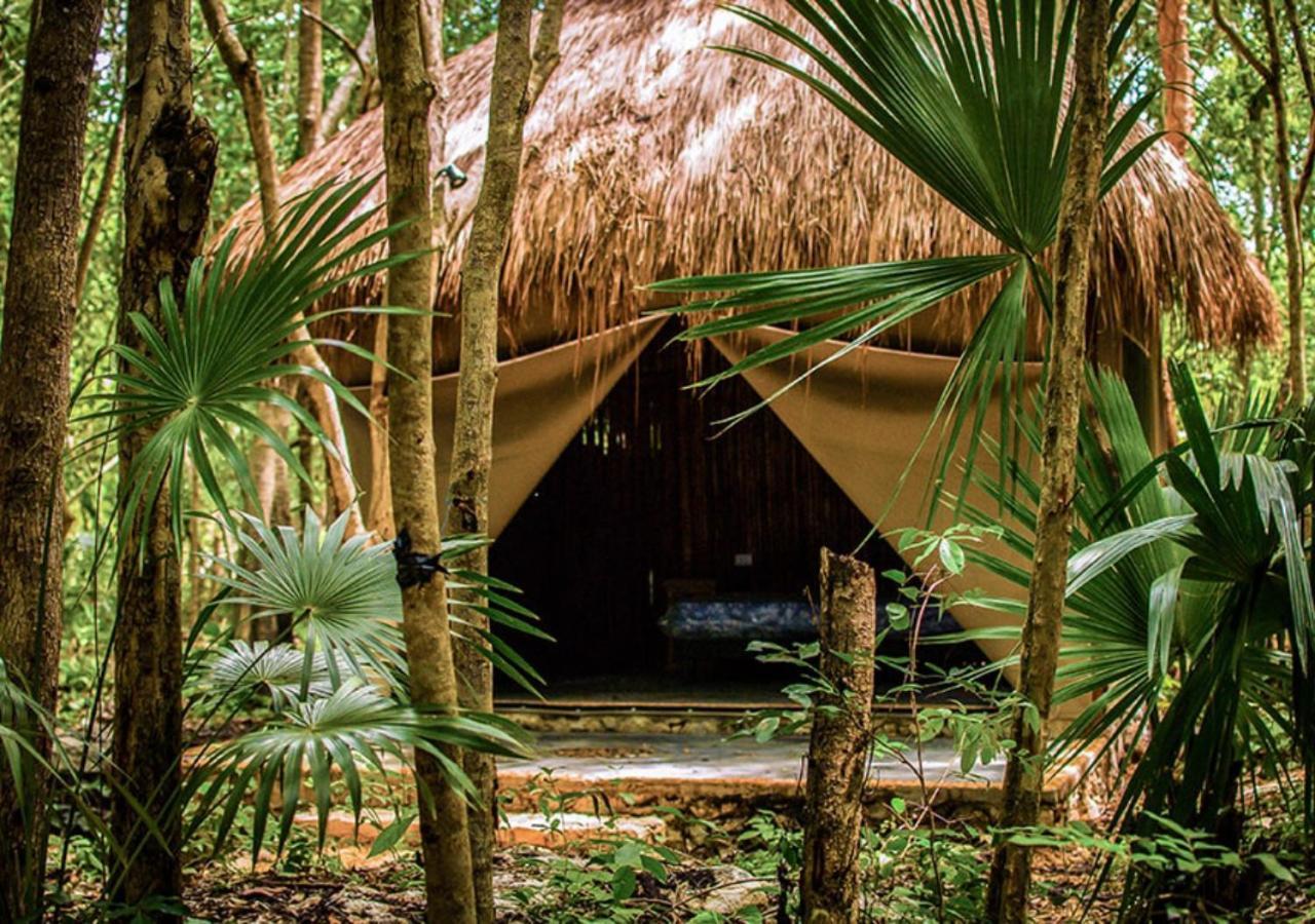 Akumal Natura Glamping المظهر الخارجي الصورة