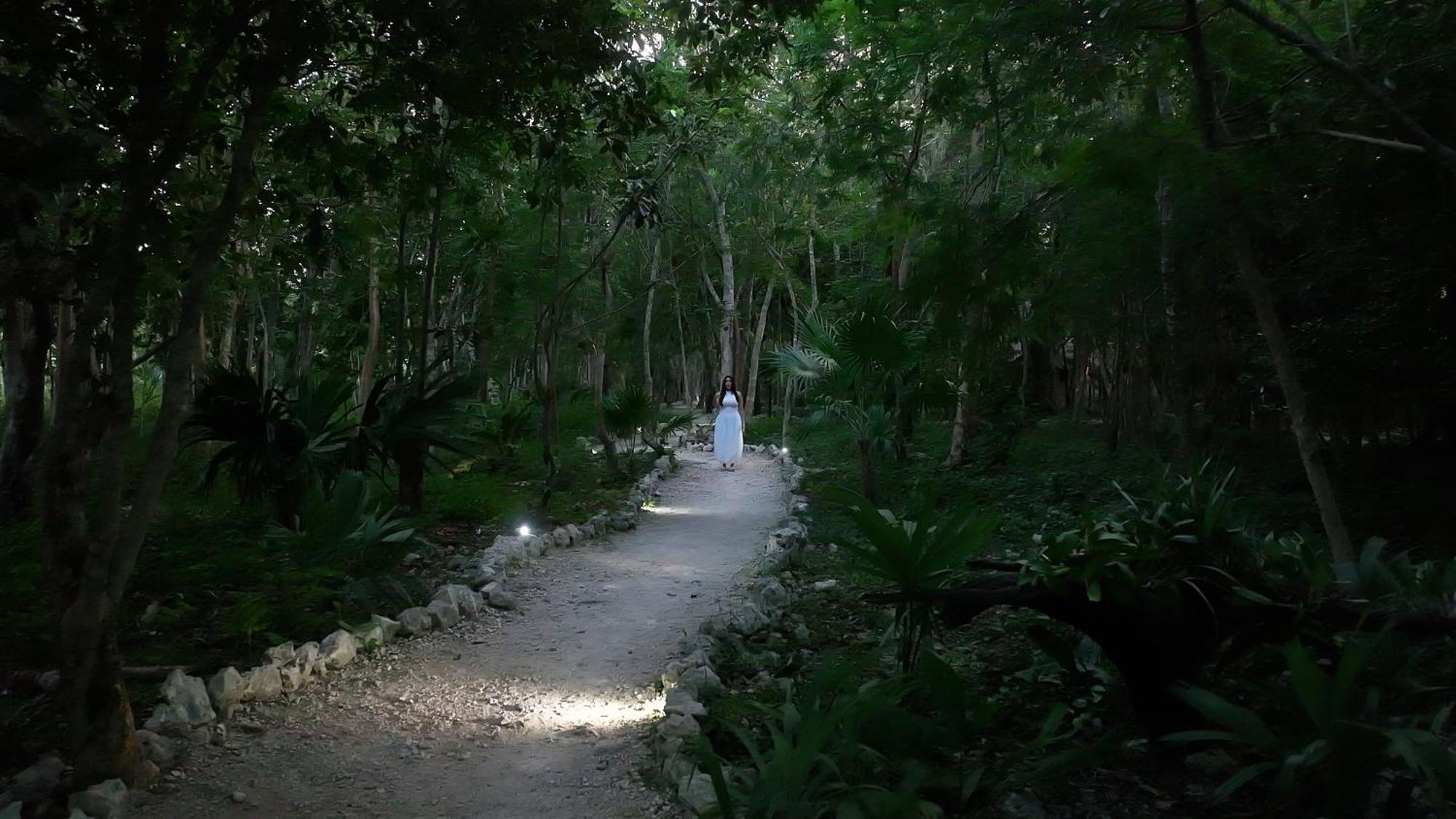 Akumal Natura Glamping المظهر الخارجي الصورة